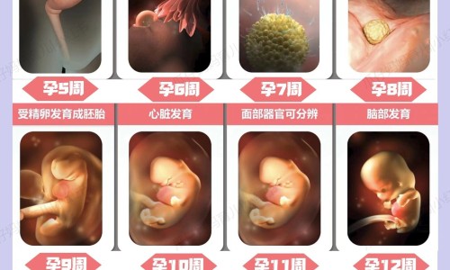 哺乳期可以吃梨子吗宝宝有影响吗-哺乳期能吃雪梨膏止咳吗,中国哺乳期可以吃雪梨吗网站